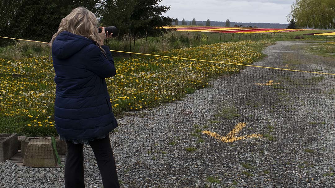 nikon-photographing-tulip-fields