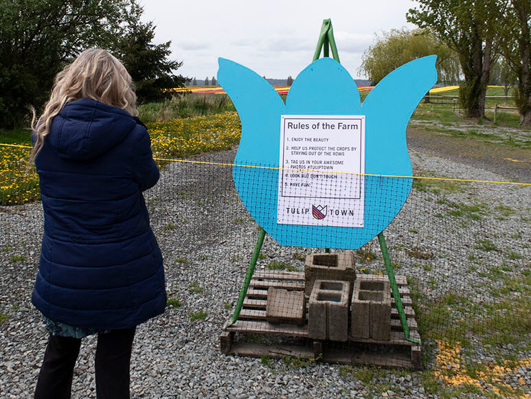 Touring the Tulip Fields in the Time of Social Distancing