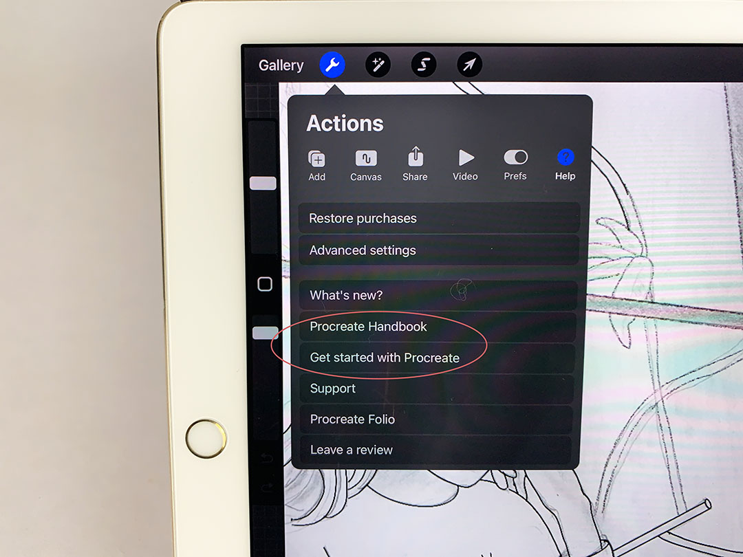 the basic beginner's guide shows you how to use the Procreate app in great detail.