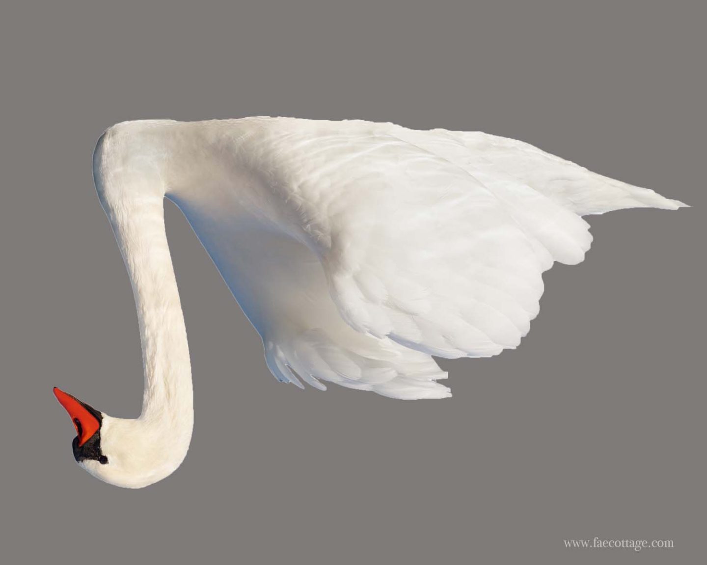 Right brain exercises like upside down drawing are great drawing warm up exercises.